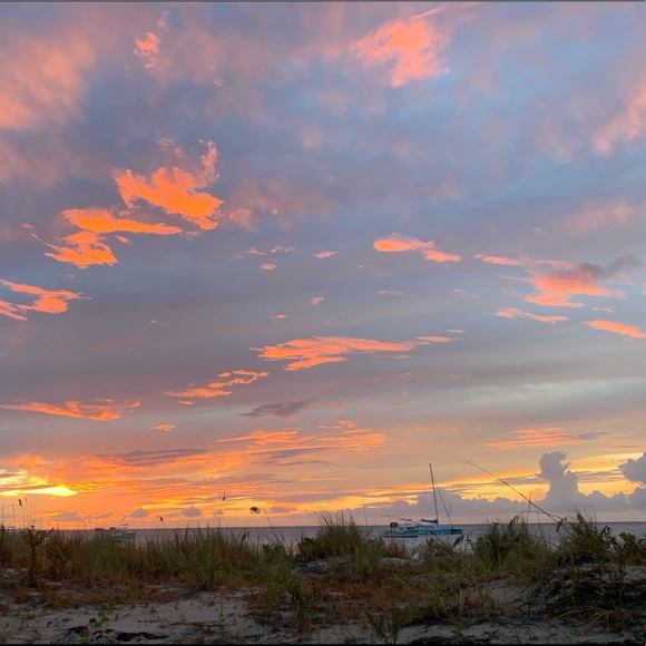 Meet your Posher, Abby - Picture 1 of 1